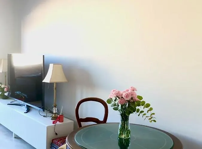 Star Pascual 托雷维耶哈